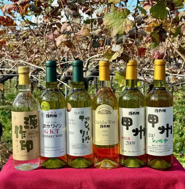 日本酒 セレクション 6本セット